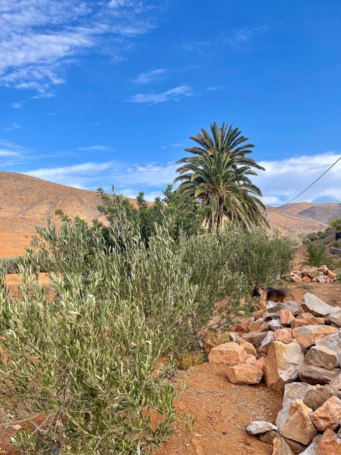 La Casita De La Era Lägenhet Betancuría Exteriör bild
